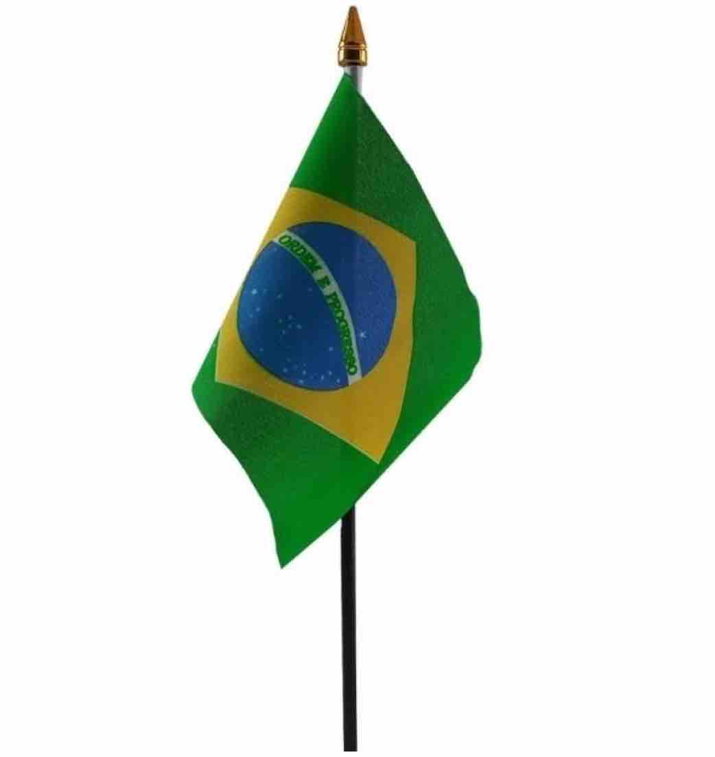 Brazilië Mini Vlaggetje Op Stok 10x15 cm 